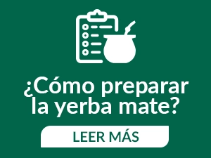 ¿Cómo preparar yerba mate? Nuestra guía para principiantes