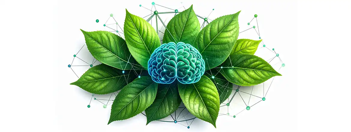 ¿Qué efectos tiene beber yerba mate? ¿Cómo afecta a la concentración?