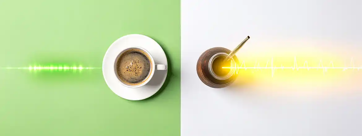 ¿Cómo funciona la yerba mate y estimula más que el café?