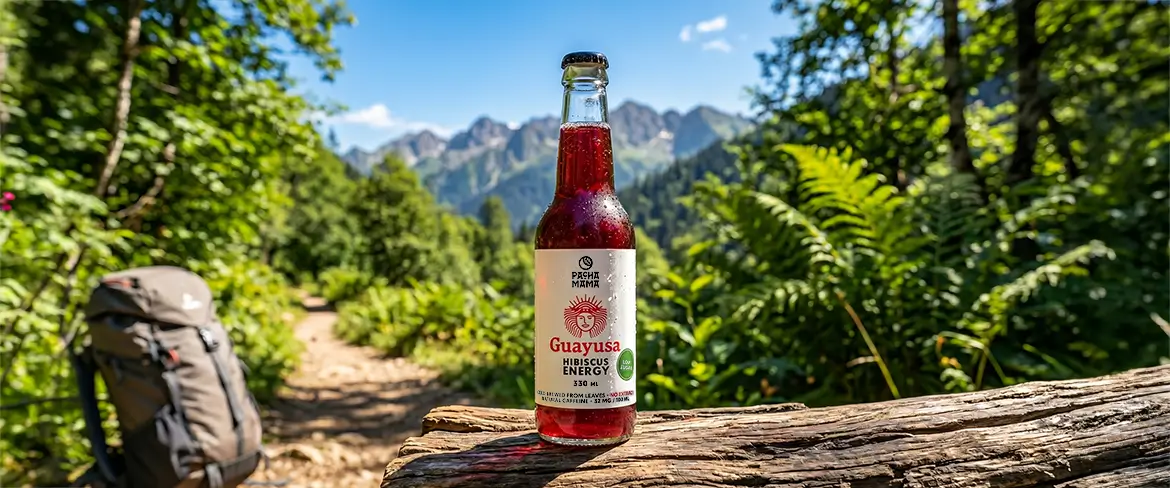 Bebida natural de guayusa en una ruta de montaña: Guayusa Pachamama, ideal para viajes y actividades al aire libre.