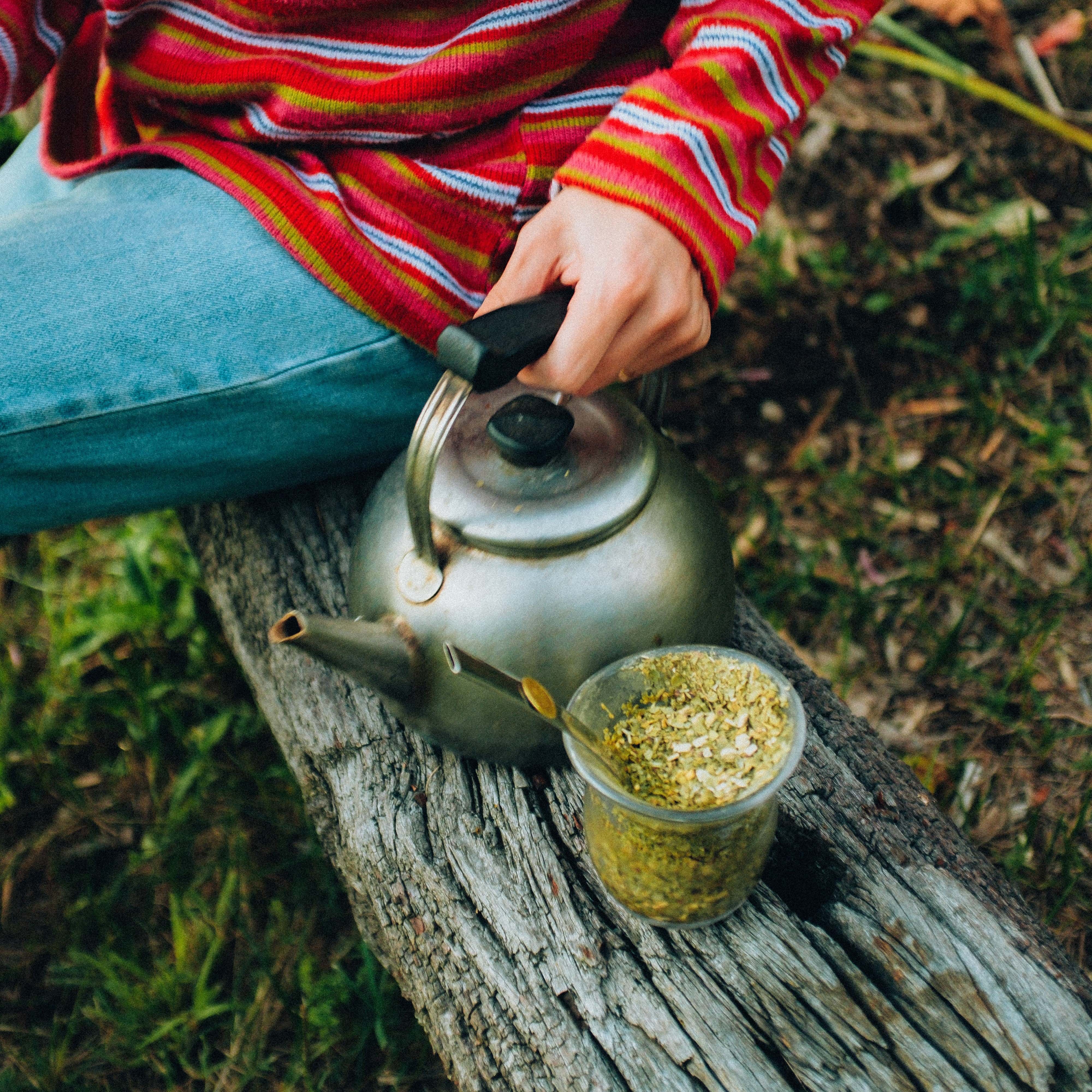 Cuál es la yerba mate más fuerte? ¡Verificamos!