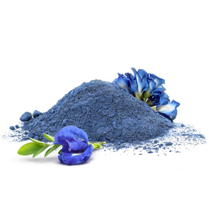 Mary Rose – Blue Matcha – Butterfly Pea Tea (en polvo) 100 g