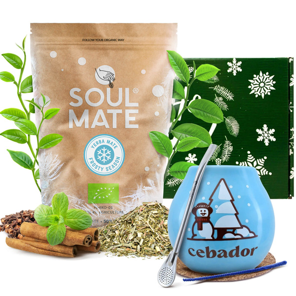 Set de regalo Yerba Mate Soul Mate Frosty Season 500g