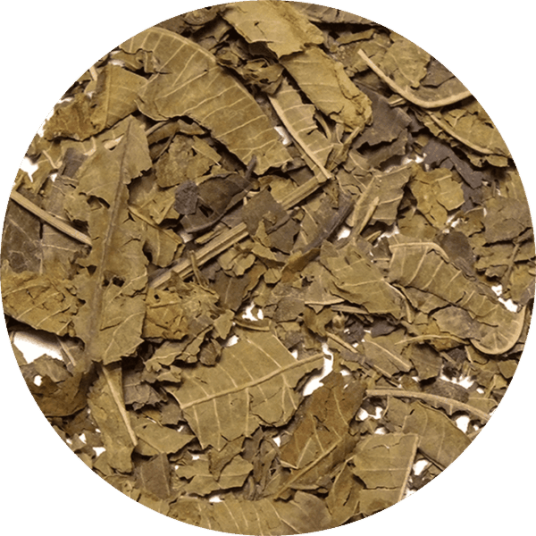 Vivarini - Hierba luisa 25 g