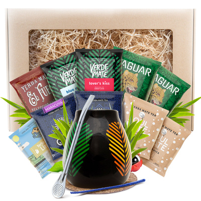 Set de regalo de Yerba Mate 10x50g 500g Calabaza + Bombilla