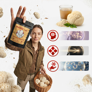 Magic Pwdr – Lion’s Mane – Melena de León 30 g