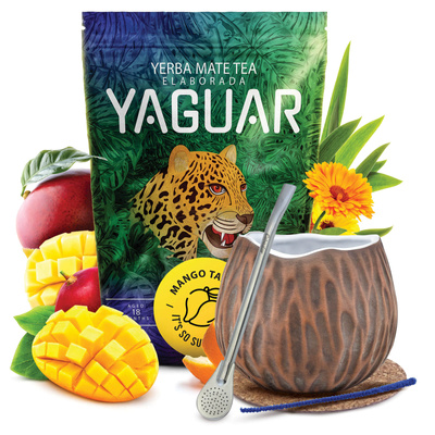 Set de Yerba Mate Yaguar 500g 0,5kg Calabaza + Bombilla