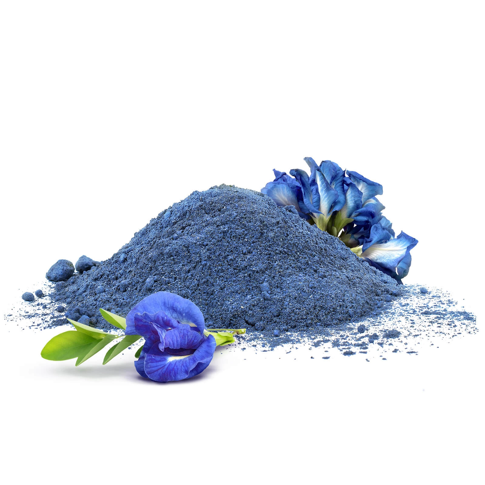 Mary Rose Blue Matcha