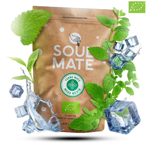 Set de Yerba Mate Soul Mate 500g 0,5kg Calabaza + Bombilla