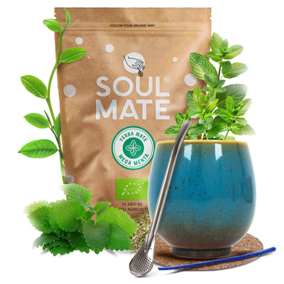 Set de Yerba Mate Soul Mate 500g 0,5kg Calabaza + Bombilla