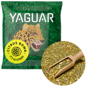 Yerba Mate Termo Bombilla Set para Dos 500g