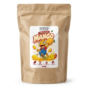 FiloLilo – Mango liofilizado (rodajas) 100 g