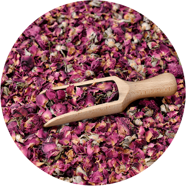 Mary Rose - Rosa roja 100 g - flor de rosa
