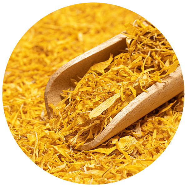 Mary Rose – Caléndula 100 g – flor de caléndula (pétalos)