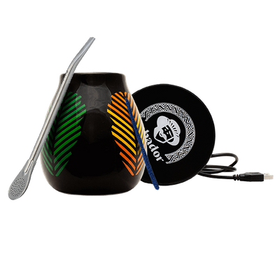 Set de Accesorios de Yerba Mate: calentador USB para taza + Calabaza + Bombilla