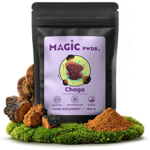 Magic Pwdr – Chaga 100 g