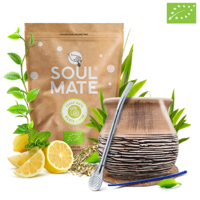 Set de Yerba Mate Soul Mate Organica Menta Limon 500g 0,5kg Calabaza + Bombilla