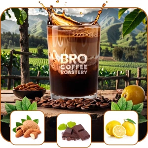 Set de Bro Coffee Roastery Brazil Samba + Brazil Guaxupe + Brazil Cerrado 3x1kg (3kg)