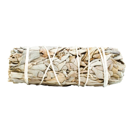 Salvia blanca – Incienso 20-30 g (manojo)