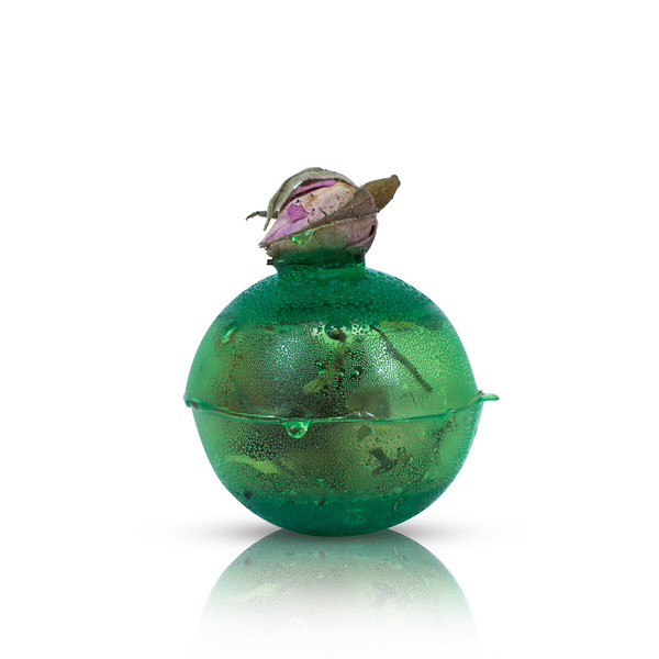 Mary Rose – Sunny Garden bomba de té (mini)