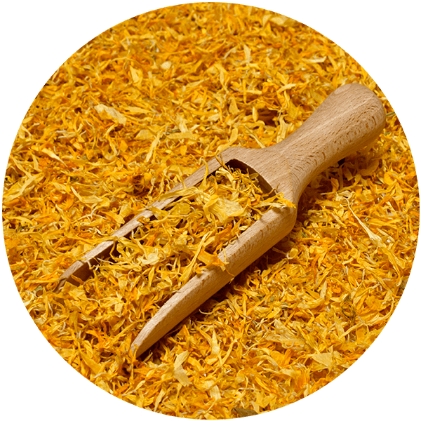 Mary Rose – Caléndula 10 g – flor de caléndula (pétalos)