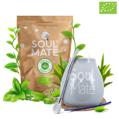 Set de Yerba Mate Orgánica para Principiantes