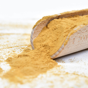 Vivarini – Lion’s Mane – Melena de león 50 g