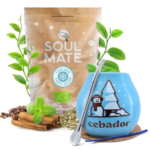 Yerba Mate set de invierno de inicio Soul Mate Frosty 500g