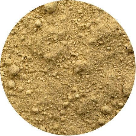 Vivarini – Jengibre (molido) 1 kg