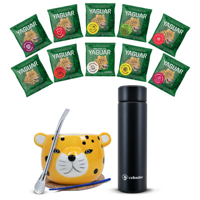 Set de inicio de Yerba Mate 500g calabaza 10x50g termo