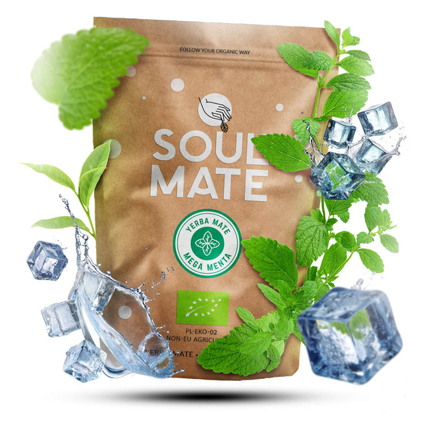 Set de Yerba Mate Soul Mate 500g 0,5kg Calabaza + Bombilla
