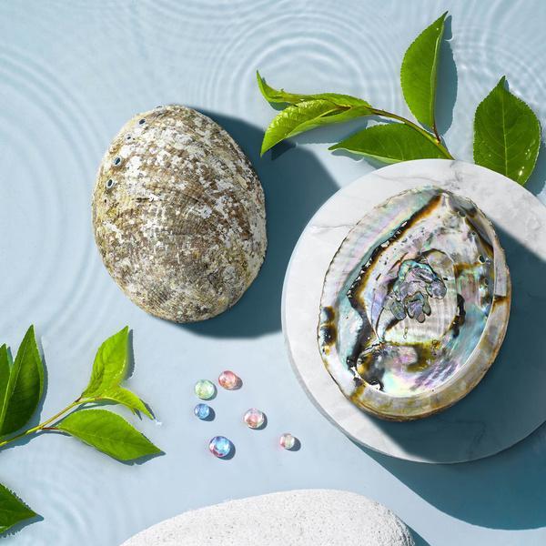 Set de incienso y soporte