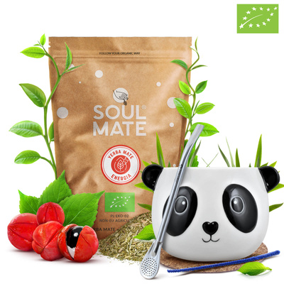 Juego de Yerba Mate Soul Mate Energia 500g Calabaza + Bombilla