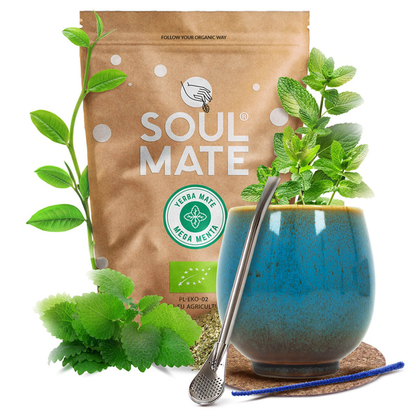 Set de Yerba Mate Soul Mate 500g 0,5kg Calabaza + Bombilla