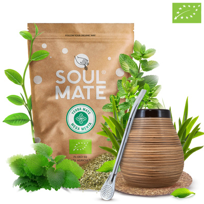 Set de Yerba Mate Soul Mate 500g 0,5kg Calabaza + Bombilla