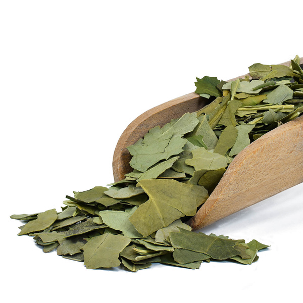 Set de regalo de Yerba Mate Verde Mate Premium