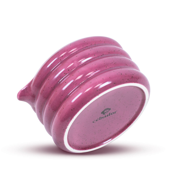 Set para preparar Purple Matcha