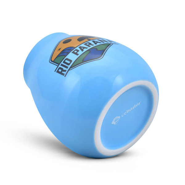 Set de regalo de Yerba Mate 10x50g 500g Calabaza + Bombilla