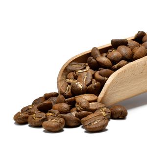 Bro Coffee Roastery - Café arábica en grano Nicaragua Colibrí Azul Speciality 1 kg