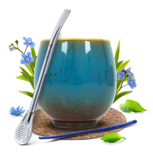 Yerba Mate set de inicio Calabaza + Bombilla