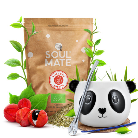 Juego de Yerba Mate Soul Mate Energia 500g Calabaza + Bombilla