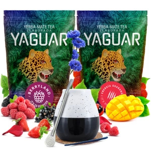 Yaguar juego yerba mate cerámica calabaza bombilla