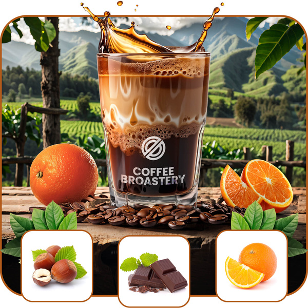 Bro Coffee Roastery - Café arábica en grano Brazil Guaxupe Premium 1 kg