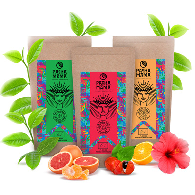 ILEX GUAYUSA Pachamama set multi-sabor