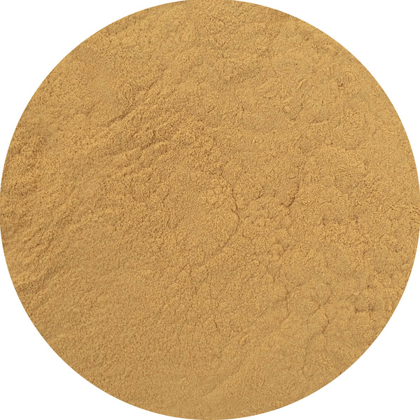 Magic Pwdr – Reishi 30 g