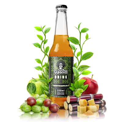 Guarani Drink – Infusión fría de Yerba Mate – Mentha & Boldo 330 ml