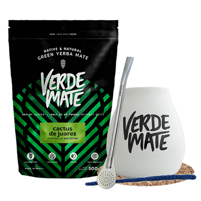 Yerba Mate Set para principiantes Cactus Bombilla Calabaza 500g