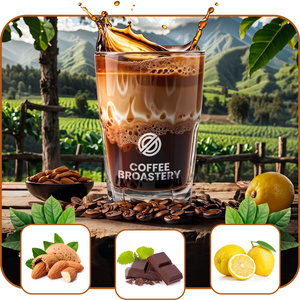 Bro Coffee Roastery - Café arábica en grano Brazil Cerrado Premium 400 g