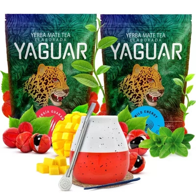 Yaguar juego yerba mate cerámica calabaza bombilla
