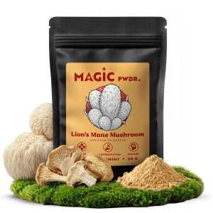 Magic Pwdr – Lion’s Mane – Melena de León 50 g